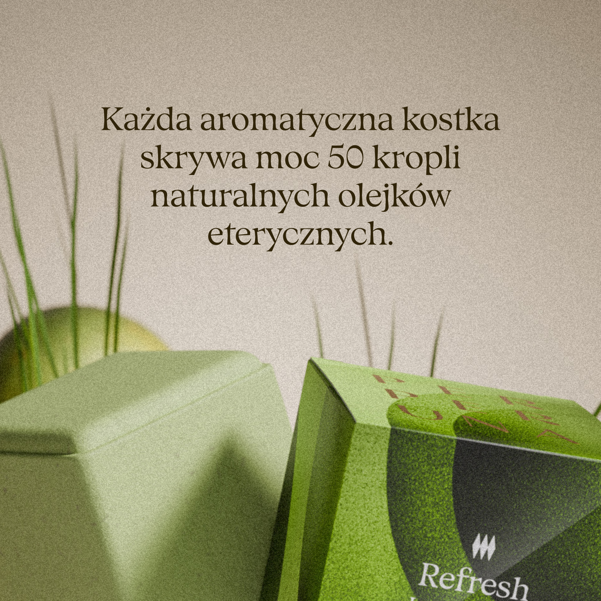 Refresh – Aromatyczna kostka pod prysznic