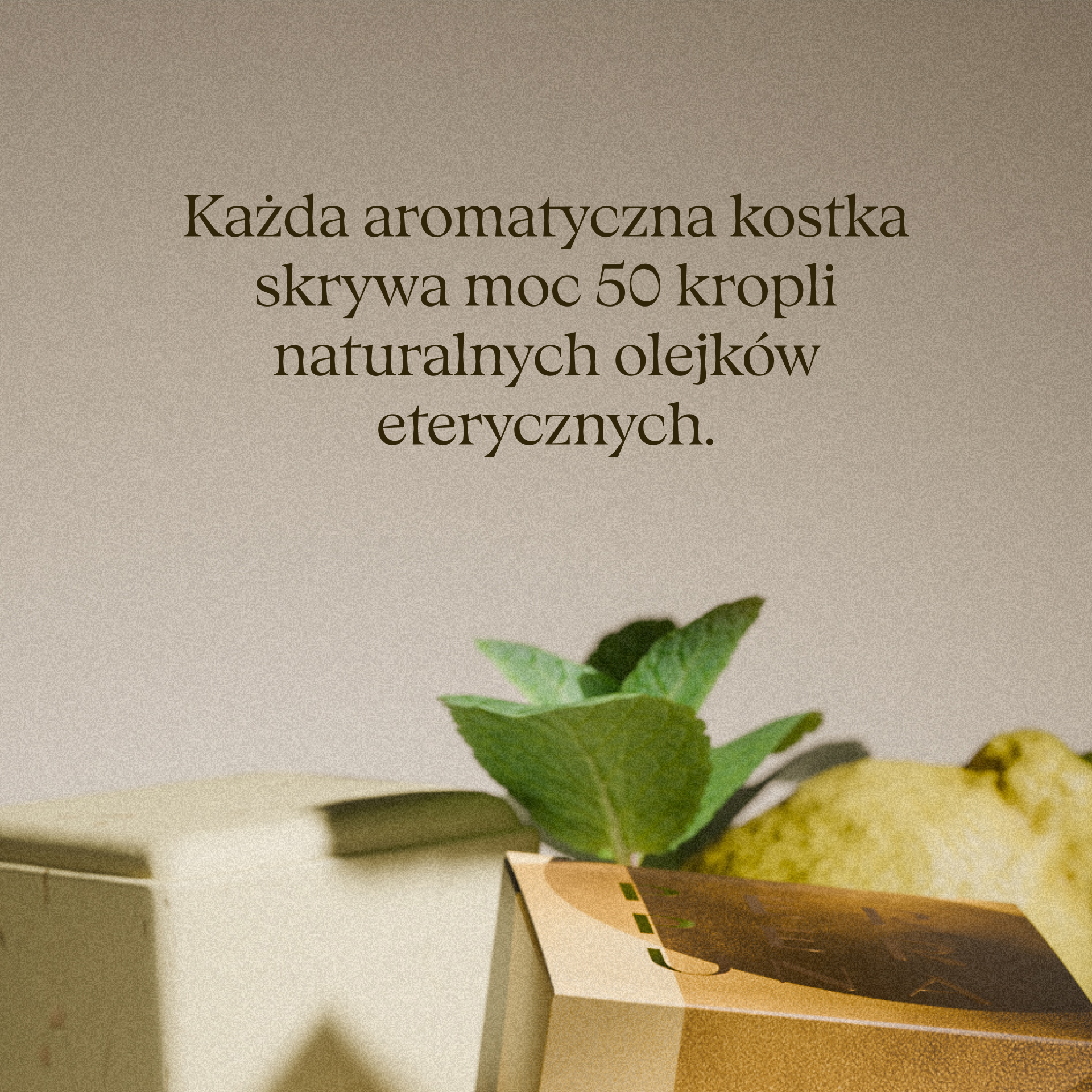 Uplift – Aromatyczna kostka pod prysznic