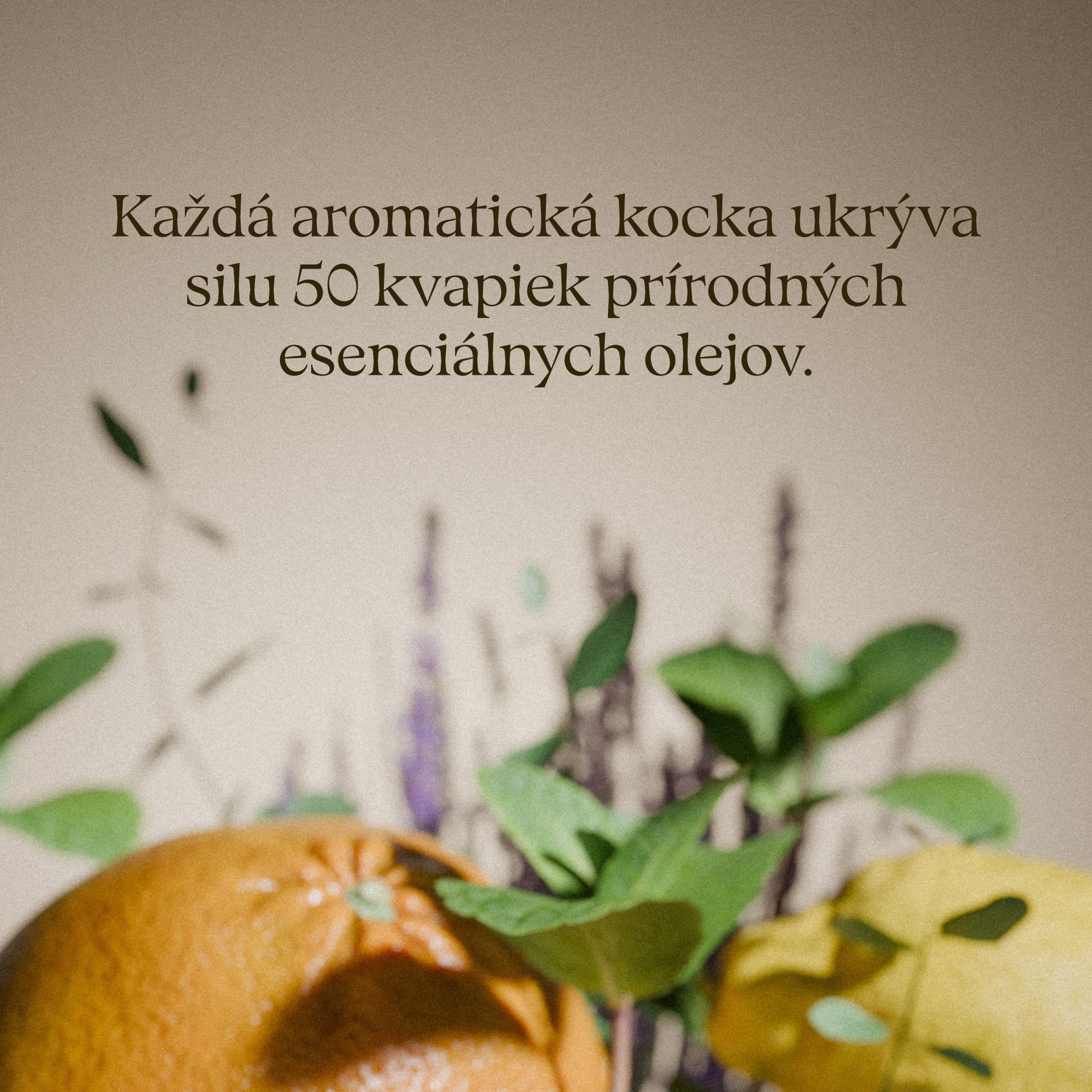 Kompletna kolekcja – The Ritual, Good Night i Love